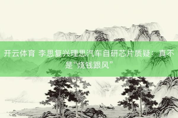 开云体育 李思复兴理思汽车自研芯片质疑：真不是“烧钱跟风”