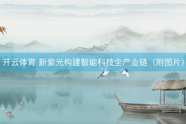 开云体育 新紫光构建智能科技全产业链（附图片）