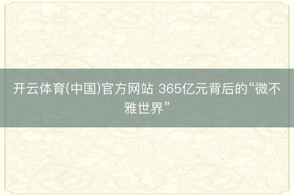 开云体育(中国)官方网站 365亿元背后的“微不雅世界”