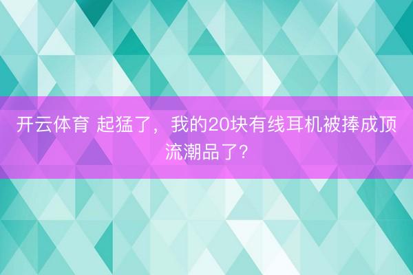开云体育 起猛了,我的20块有线耳机被捧成顶流潮品了?
