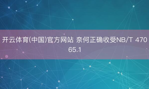 开云体育(中国)官方网站 奈何正确收受NB/T 47065.1