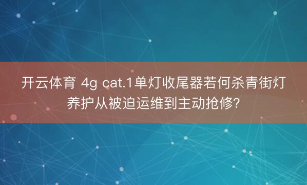 开云体育 4g cat.1单灯收尾器若何杀青街灯养护从被迫运维到主动抢修？
