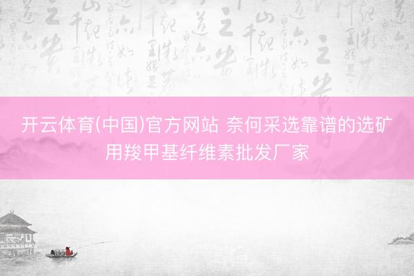 开云体育(中国)官方网站 奈何采选靠谱的选矿用羧甲基纤维素批发厂家