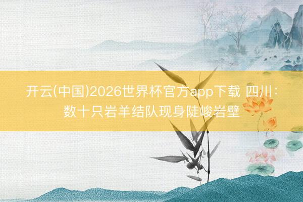 开云(中国)2026世界杯官方app下载 四川：数十只岩羊结队现身陡峻岩壁