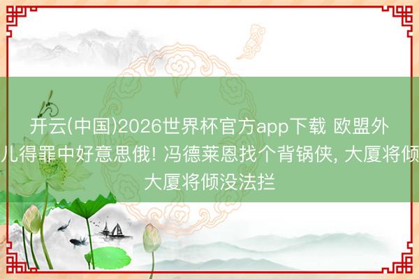 开云(中国)2026世界杯官方app下载 欧盟外长连气儿得罪中好意思俄! 冯德莱恩找个背锅侠， 大厦将倾没法拦