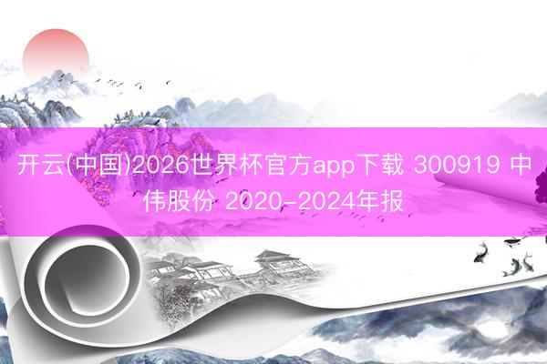 开云(中国)2026世界杯官方app下载 300919 中伟股份 2020-2024年报