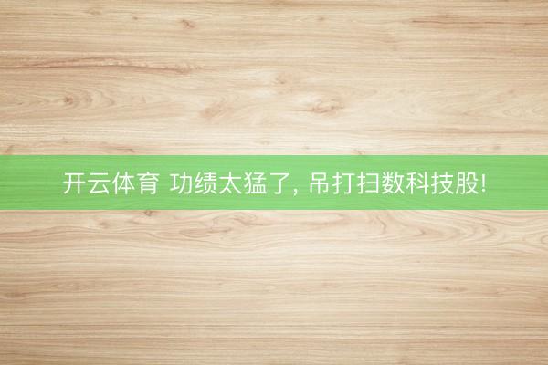 开云体育 功绩太猛了， 吊打扫数科技股!