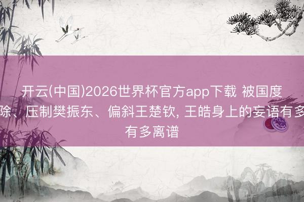 开云(中国)2026世界杯官方app下载 被国度队开除、压制樊振东、偏斜王楚钦， 王皓身上的妄语有多离谱
