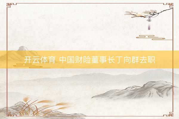 开云体育 中国财险董事长丁向群去职