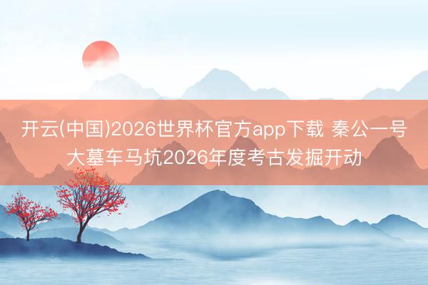 开云(中国)2026世界杯官方app下载 秦公一号大墓车马坑2026年度考古发掘开动
